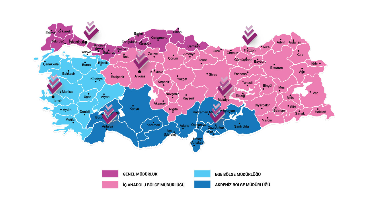 Vizyon İllere Göre Bölge Yapılanması Vizyon İllere Göre Bölge Yapılanması